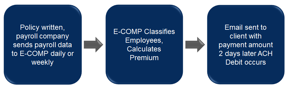 Policy & Payment Process